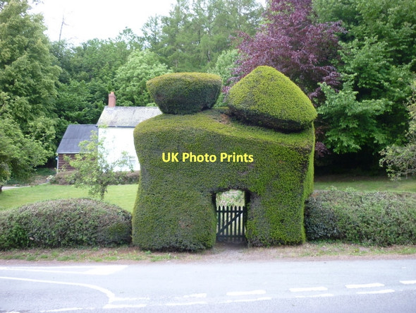 Photo 6"x4" The way to Park Cottage off the A489 Plowden c2011