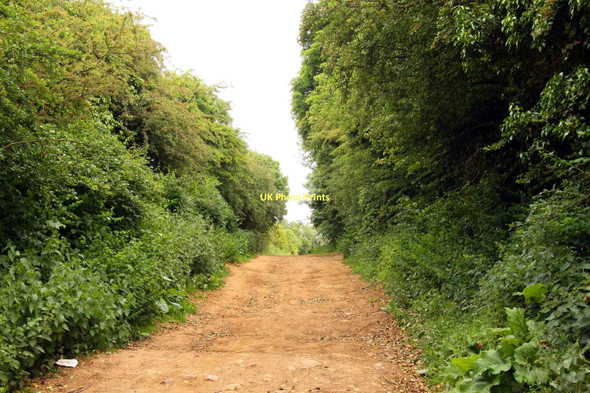 Photo 6"x4" Bridleway to Horspath Blenheim\/SP5705 c2011