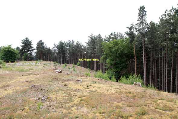 Photo 6"x4" Galley Hill Iron Age Fort Sandy\/TL1649 c2011