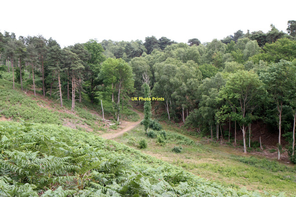Photo 6"x4" Deep Valley Beside Galley Hill Sandy\/TL1649 c2011