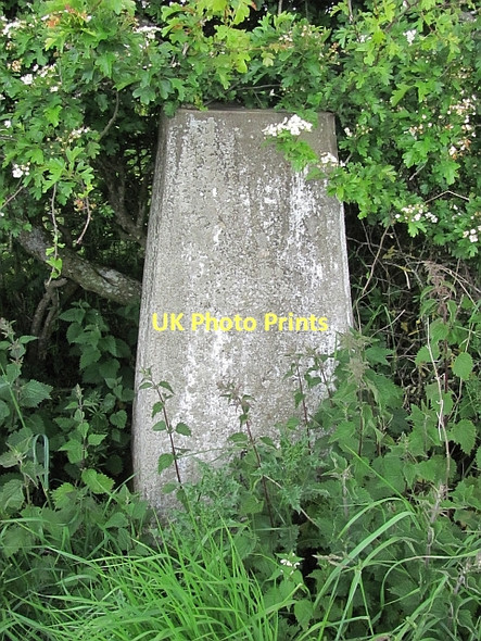 Photo 6"x4" Bowsden West triangulation pillar Bowsden c2011