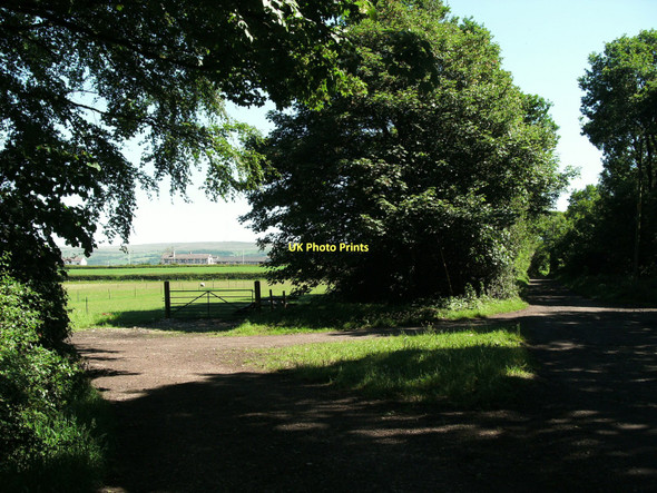 Photo 6"x4" Farm track junction at Brinsop Hall Cooper Turning c2011