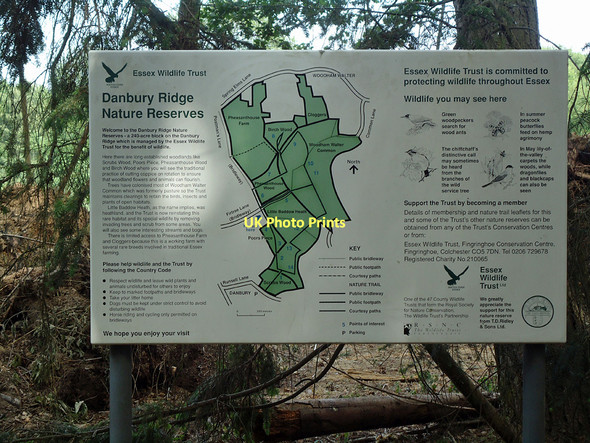 Photo 6"x4" Information Board, Danbury Ridge Nature Trail Danbury\/TL7705 c2011
