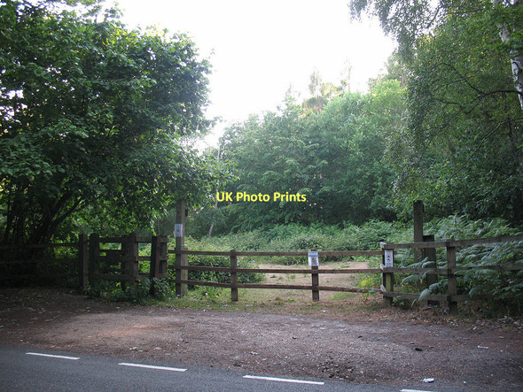 Photo 6"x4" Entrance to Thunderfield Grove Wormley West End c2011