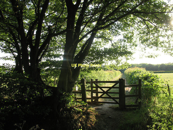 Photo 6"x4" Diverted footpath Hoddesdon c2011