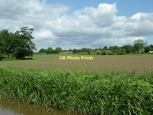 Photo 6"x4" Farmland  near Sandon, Staffordshire Sandon\/SJ9429 c2011