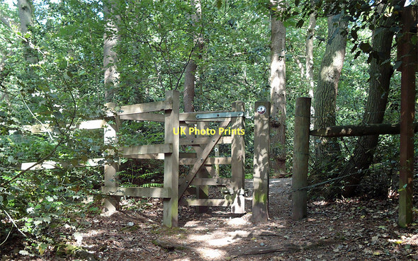 Photo 6"x4" Turn left for Nature Trail Danbury\/TL7705 c2011