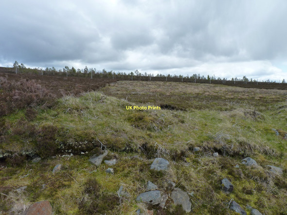 Photo 6"x4" Peat beside the plantation Calvine c2011