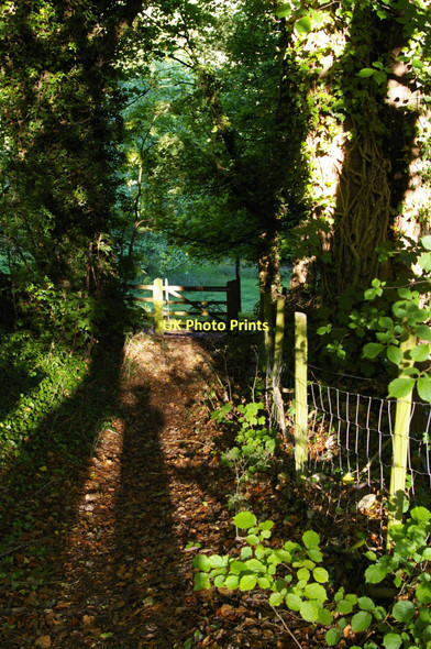 Photo 6"x4" Sheepscombe, Far End: public footpath leading down into the valley Sheepscombe c2011