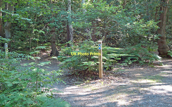 Photo 6"x4" Post 10, Nature Trail Runsell Green c2011
