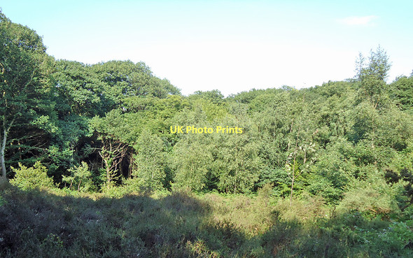 Photo 6"x4" Post 11, Restored clearing Runsell Green c2011