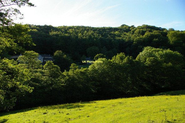 Photo 6"x4" Far End, Sheepscombe: Woody's Cottage Sheepscombe c2011 P1