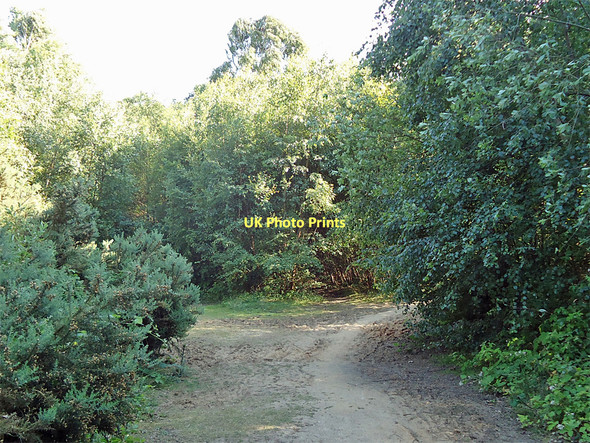 Photo 6"x4" Post 14, Nature Trail Runsell Green c2011