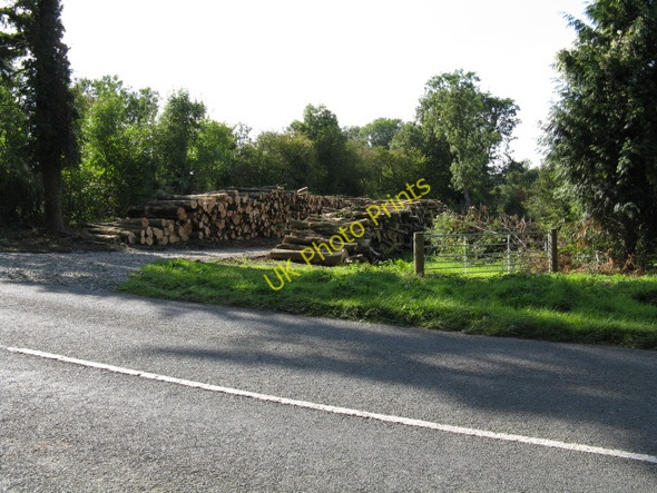 Photo 6"x4" Stacked Logs Near Busk Coppice Stanford on Teme c2009