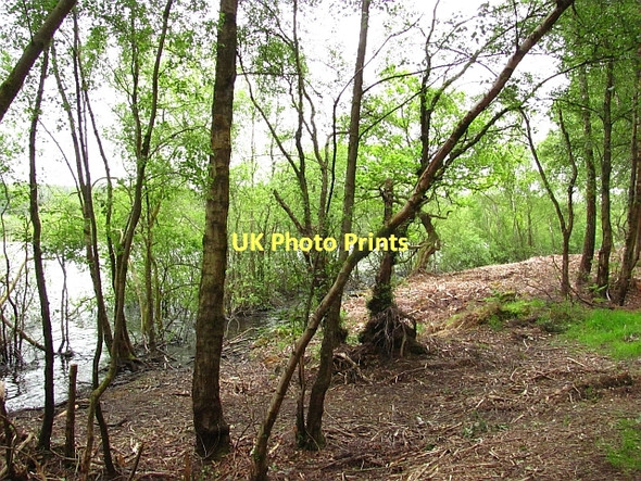 Photo 6"x4" Shoreline, Peppermill Dam Kincardine\/NS9387 c2011
