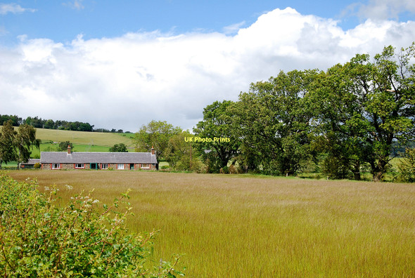 Photo 6"x4" View of Cottages Rhynd\/NO1520 c2011
