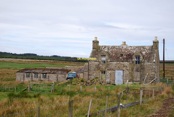 Photo 6"x4" Abandoned Farm Swiney c2011