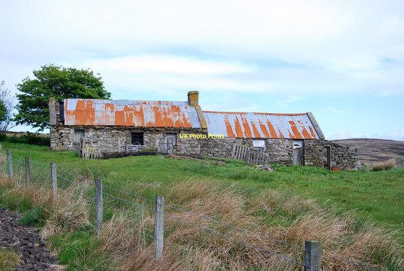 Photo 6"x4" Abandoned Cottage Golticlay c2011