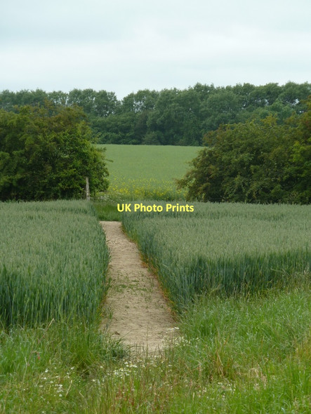 Photo 6"x4" Footpath towards Heath Bolsover c2011