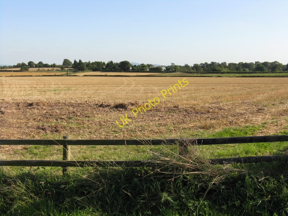 Photo 6"x4" Stubble Fields Near Burton Court Harpley\/SO6861 c2009