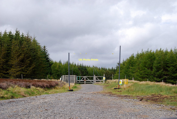 Photo 6"x4" Forest Access Westerdale\/ND1251 c2011