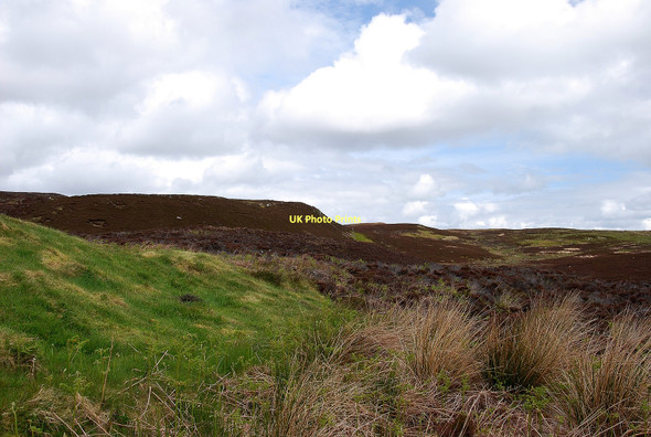 Photo 6"x4" Garrywhin Fort Ulbster c2011