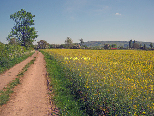 Photo 6"x4" Farm track near Defford Defford\/SO9143 c2011