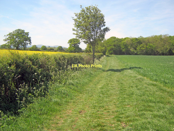 Photo 6"x4" Path to woodland near Porter's Ashbed Defford\/SO9143 c2011