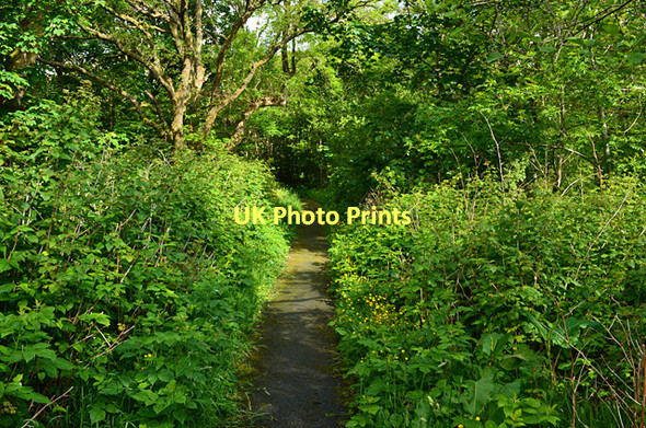 Photo 6"x4" Path by the River Leasgeary S\u00f9laisiadar M\u00f2r c2011