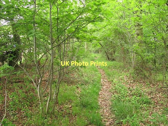 Photo 6"x4" Path, Letham Mains Huntington\/NT4874 c2011