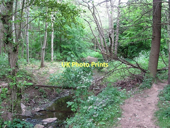 Photo 6"x4" Letham Burn Haddington\/NT5173 c2011