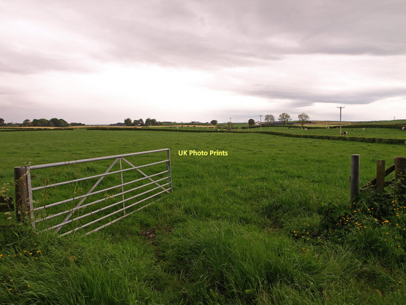 Photo 6"x4" Open Field Gate Beansburn c2011