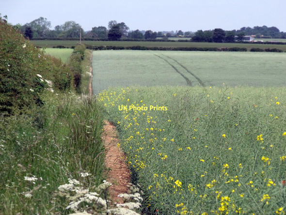 Photo 6"x4" Public Footpath off Horncastle Lane Riseholme c2011