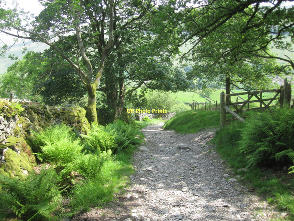 Photo 6"x4" Nanny Lane, Troutbeck, in June High Green\/NY4103 c2011