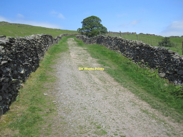 Photo 6"x4" Nanny Lane, Troutbeck, in June High Green\/NY4103 c2011