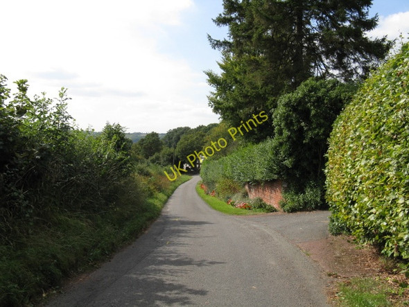 Photo 6"x4" Lane Near Welcroft Farm Birch Berrow c2009