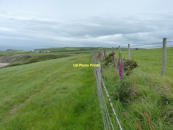 Photo 6"x4" Byway along the coast above Hatling Fawr Y Ferwig c2011