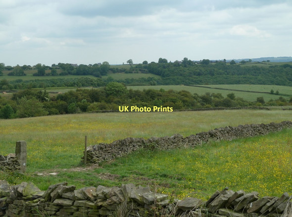 Photo 6"x4" Fields northeast of Wigley Freebirch c2011
