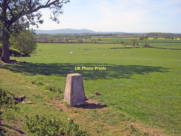 Photo 6"x4" Trig point at Strensham Lower Strensham c2011