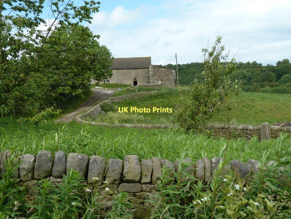 Photo 6"x4" Glimpse of Loads House Farm from the lane Upper Loads c2011