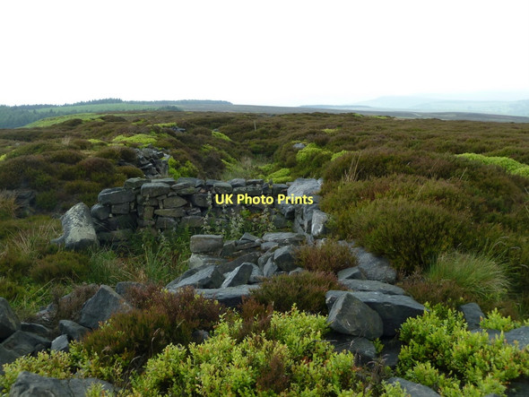 Photo 6"x4" Near the top of Beeley Moor, Harland Edge Upper Loads c2011