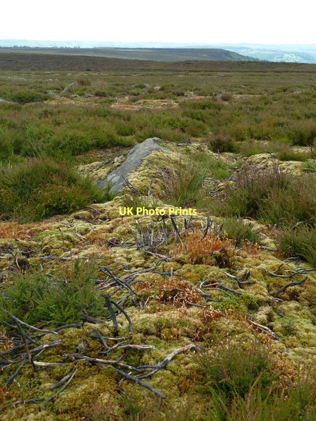 Photo 6"x4" Moorland ground after a dry spring Upper Loads c2011