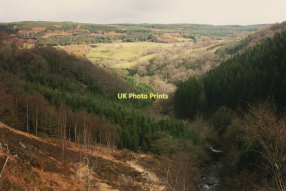 Photo 6"x4" The Mawddach valley below Hafod Fraith Bedd-y-coedwr c1987