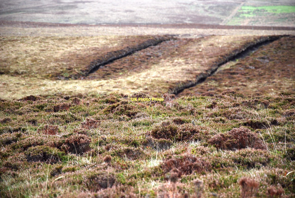 Photo 6"x4" Peaty Moorland John O' Groats c2011