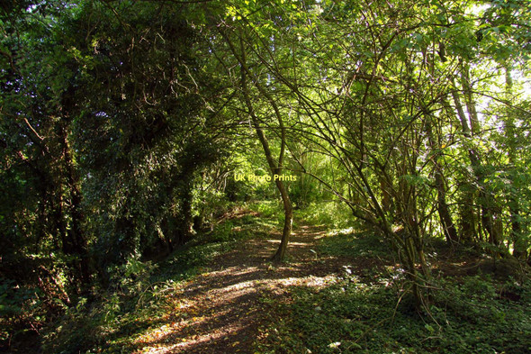 Photo 6"x4" The former railway embankment in Horspath Horspath c2011
