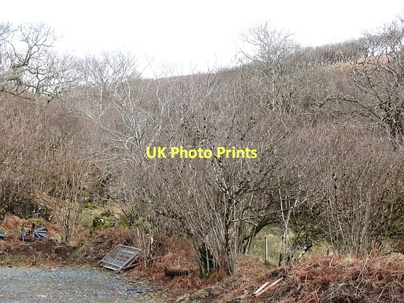 Photo 6"x4" Allt na Criche Fanmore\/NM4144 c2011