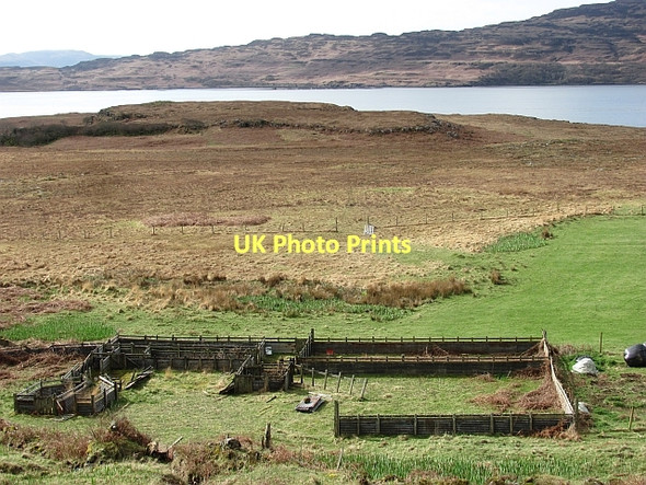 Photo 6"x4" Fank, Ballygown Ballygown c2011