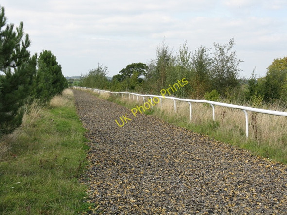Photo 6"x4" Gallop Alongside The Track To Worsley House Greenway\/SO7470 c2009