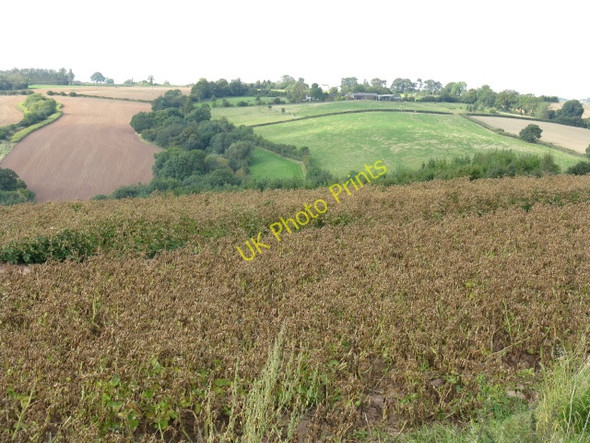 Photo 6"x4" Rolling Countryside Near Worsley House Greenway\/SO7470 c2009