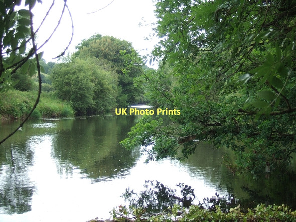 Photo 6"x4" River Exe above Bickleigh Weir Bickleigh\/SS9407 c2011